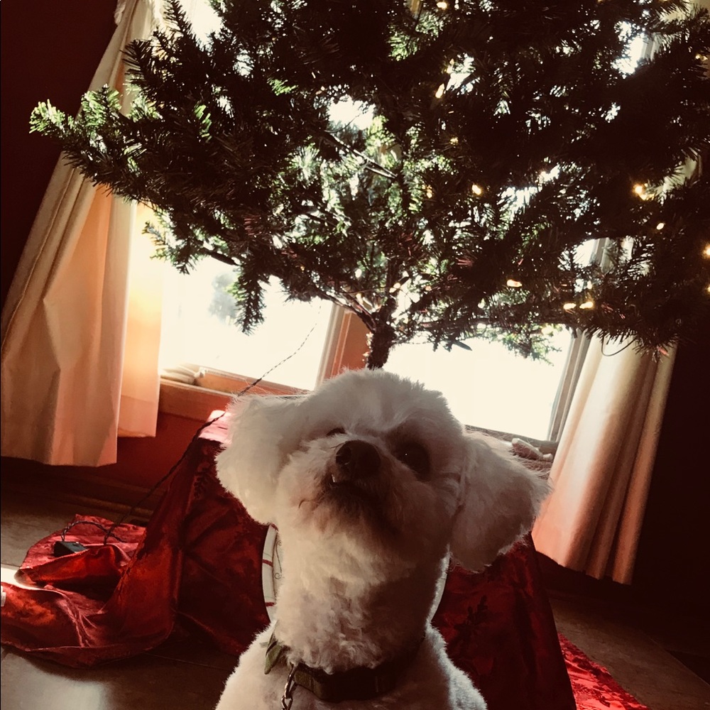 Meet your Posher, Mary